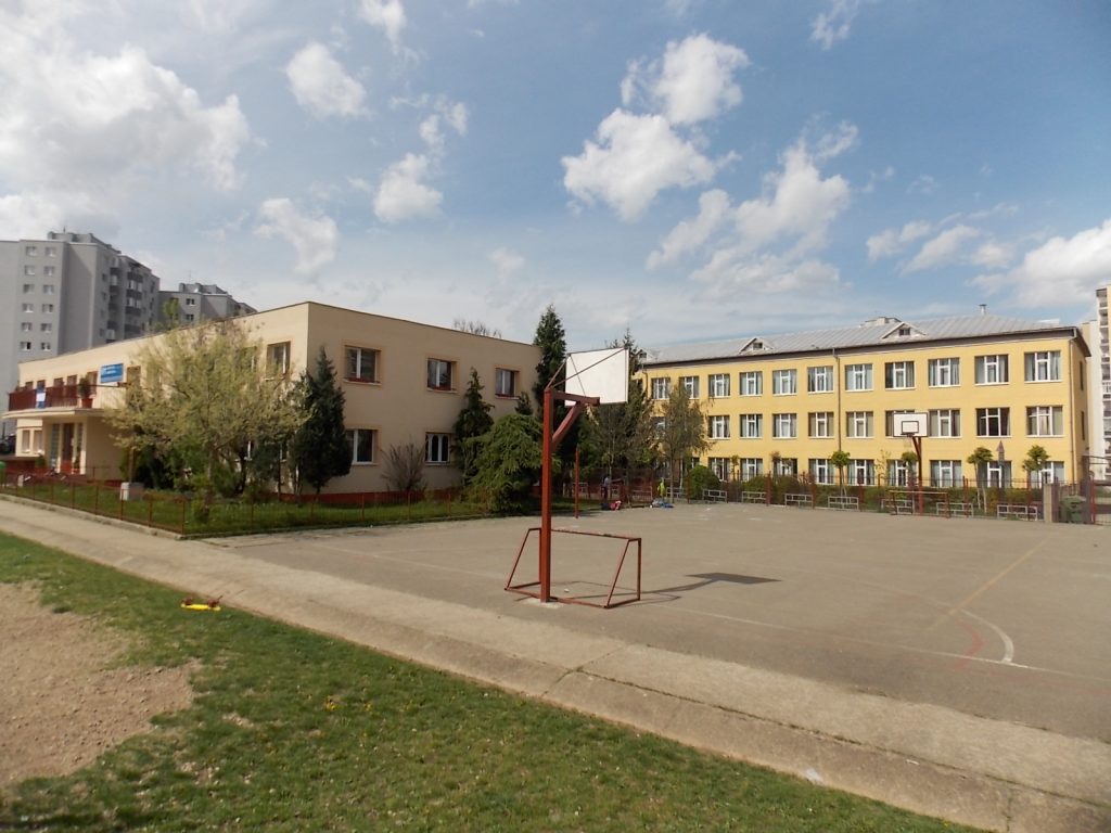 Activități școlare