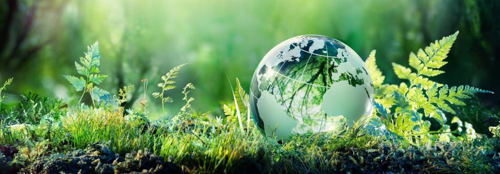 Educație pentru mediu